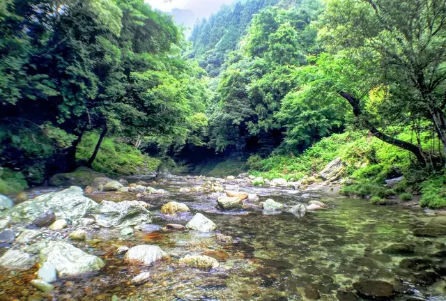 四国のまん中、自然と寺とカフェ。