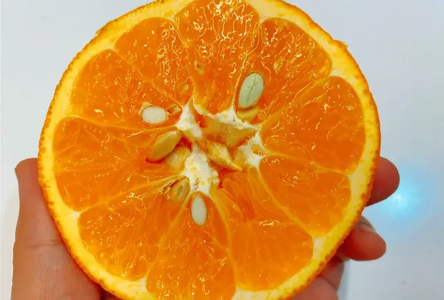 愛媛県の中島にある柑橘類が美味しい
