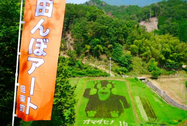 夏の但東町・田んぼアートとひまわり畑を巡る旅