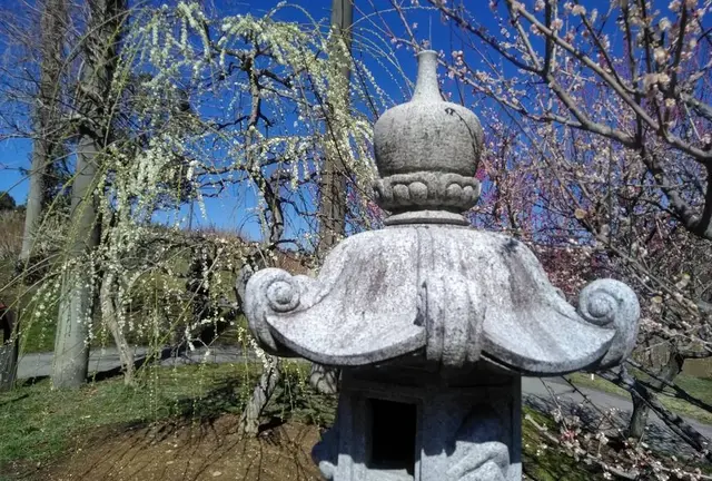 花咲かタイムズ【三重県・津市】