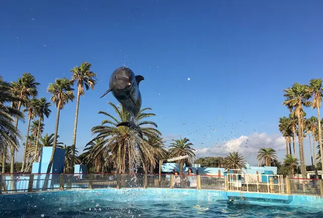 秘密の癒しスポット・油壺