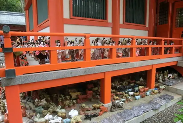 淡嶋神社を散策。松の木を眺めながら