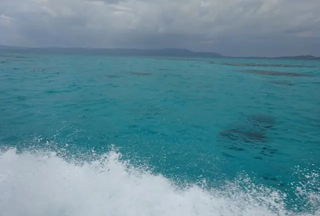初めての八重山諸島～西表島・由布島・竹富島・小浜島編～