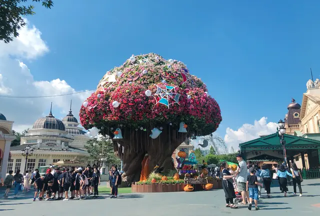 ソウル🇰🇷エバーランドもカフェも欲張る韓国旅行(2泊3日)
