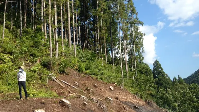 新潟の北のはじっこ!山北の暮らしの中を歩く