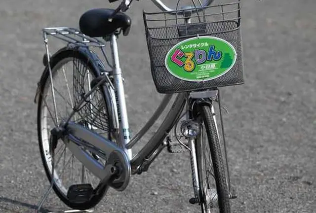 小田原春を感じるサイクリング🚴‍♀️！グルメ旅