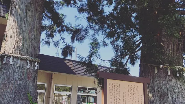 富山県立山美女平散策