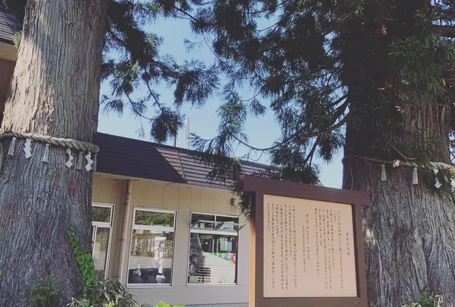 富山県立山美女平散策