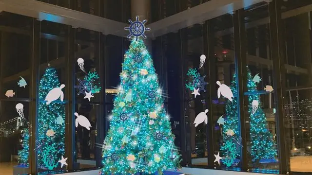 東京国際クルーズターミナル（イルミネーションアイランドお台場 2022）