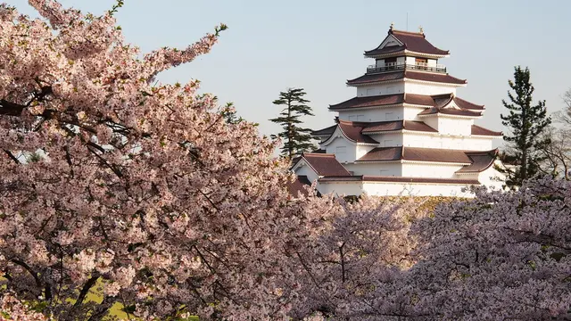 春の会津~桜紀行
