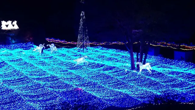 京都　イルミエール