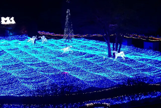 京都　イルミエール