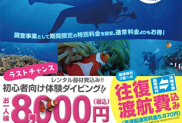 座間味ダイバーズエッグプロジェクト！   国立公園 座間味島で、体験ダイビングをしよう！〜2／28