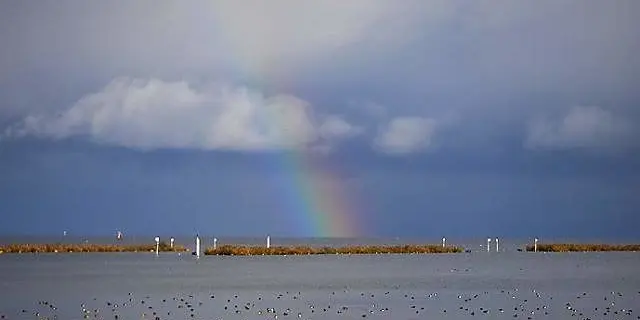 ゆらめくびわ湖とずっと一緒～滋賀・湖西をドライブ