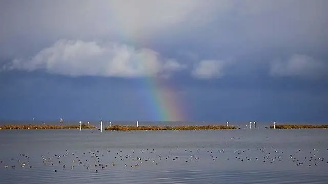 ゆらめくびわ湖とずっと一緒~滋賀・湖西をドライブ