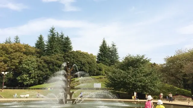 世田谷公園でピクニック&三宿辺りをぶらぶらの日