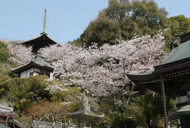 八十八か所遍路　巡礼と寄り道？　阿波市7番十楽寺～10番切幡寺～♪