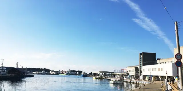 三浦三崎！レンタルサイクルでぶらぶら旅🚲