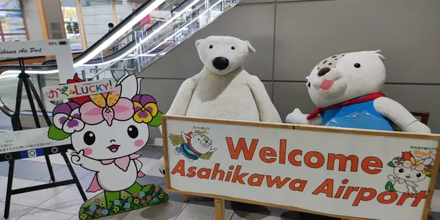 北海道の人気観光地をぐるっと周遊5日間