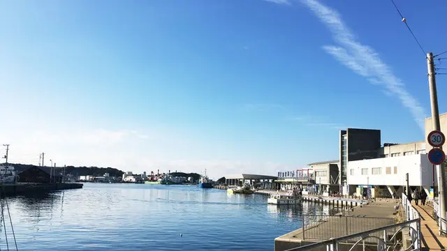 三浦三崎!レンタルサイクルでぶらぶら旅🚲
