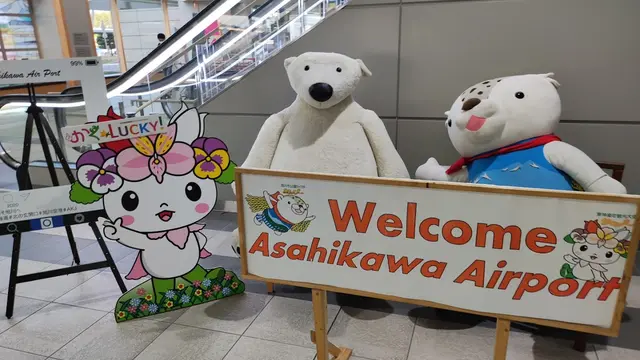 北海道の人気観光地をぐるっと周遊5日間