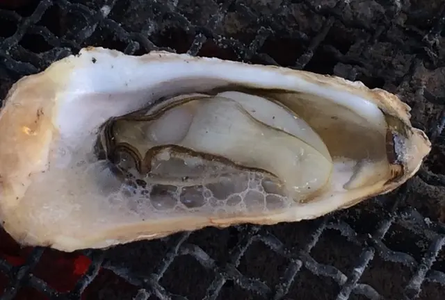 関西屈指の牡蠣生産地「赤穂・坂越（さこし）」で牡蠣と温泉を楽しもう！