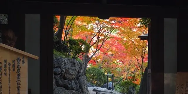 秋の和歌山城と「和」を楽しむ１日
