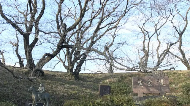 地元西尾のおでかけスポットを探して行ってみた