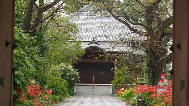 観光都市ではない群馬県太田市の“宝泉地区”付近で“宝”探し