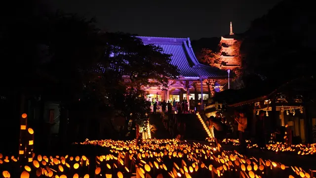 ［片瀬～長谷～江ノ島］8月限定 幻想的な夜景巡り♪