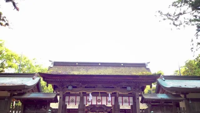 何?!日本の氏神だと?日本の国を鎮め守る社が、こんなとこに…、あるんです!
