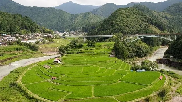 ナイナイお見合い大作戦 次回開催予定地 和歌山県有田川町の魅力 ~有田川町の花嫁募集~