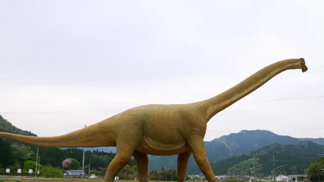 子供とお出かけ!丹波市のひまわり畑と恐竜を巡る旅