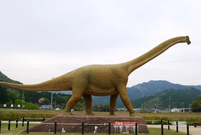 子供とお出かけ！丹波市のひまわり畑と恐竜を巡る旅
