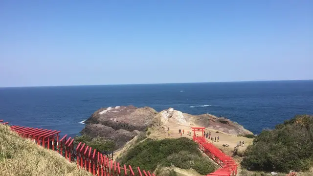 歴史と桜をめぐる旅〜山口・大分・熊本〜2016
