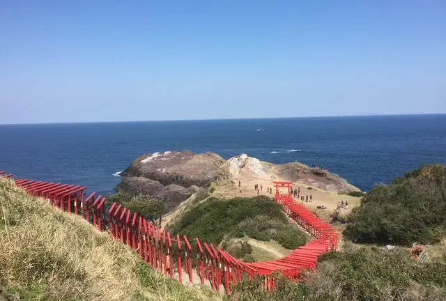 歴史と桜をめぐる旅〜山口・大分・熊本〜2016