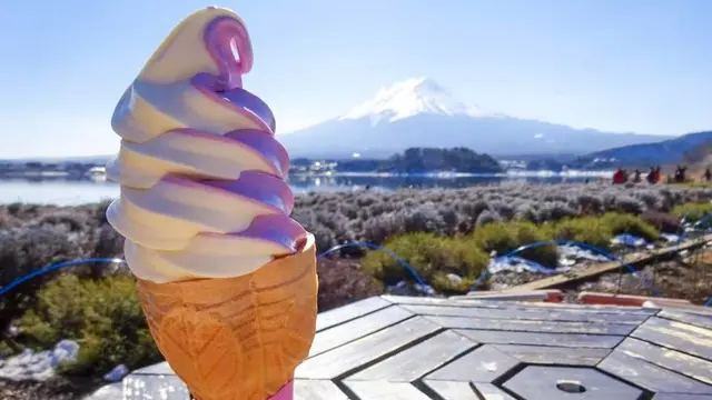 【富士山の見えるカフェ】絶景テラスでコーヒータイムを。ドライブで寄りたい周辺の観光スポットもご紹介!