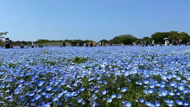 春のドライブ　福岡～北九州