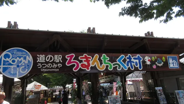 高校生、夏休み先取り!宇都宮で農業!?
