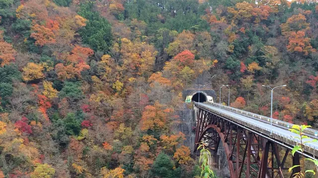 【紅葉が見頃】静かな場所で紅葉を堪能【神石高原町】