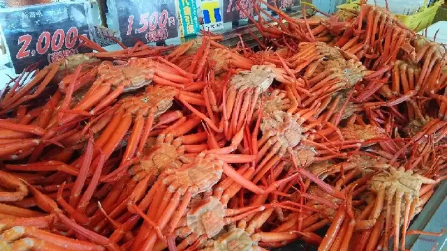 海と山と美食の新潟《前編》~糸魚川市・上越市・十日町市・津南町~