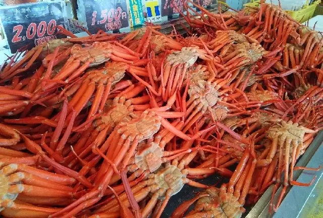 海と山と美食の新潟《前編》～糸魚川市・上越市・十日町市・津南町～