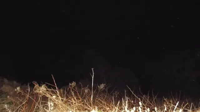 ミッドナイト東尋坊