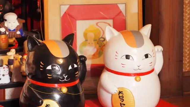 ［浅草］浅草まち歩き 招き猫と仲良くなれるかも♪