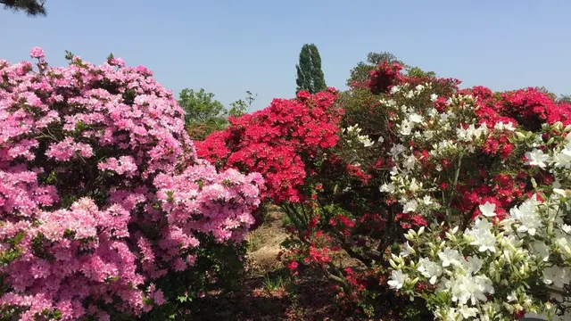 富岡製糸場周辺と伊香保温泉