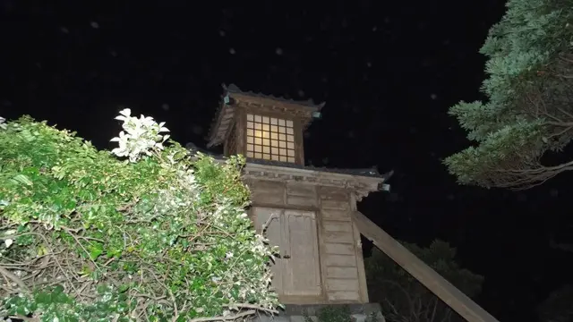 浦賀ナイトハイク