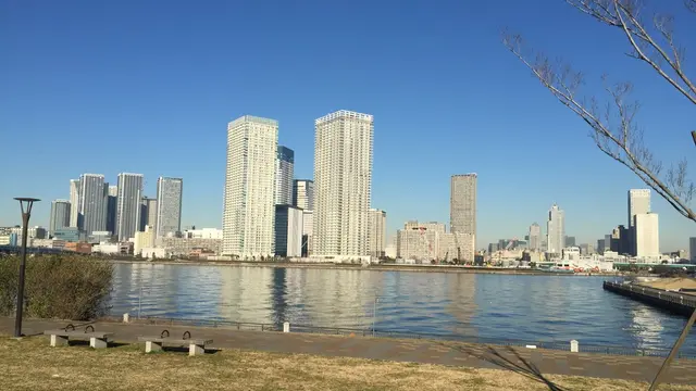 ヨーキー・レオと、ぐるっと東京ベイエリア・豊洲を歩こう!