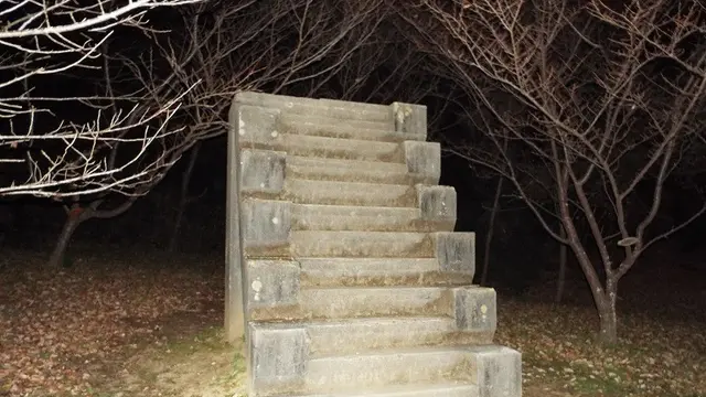 佐倉ナイトハイク