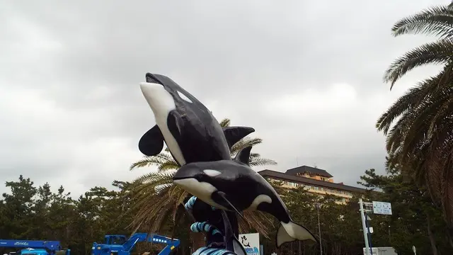 鴨川シーワールドでラブカを見た自慢をするだけ