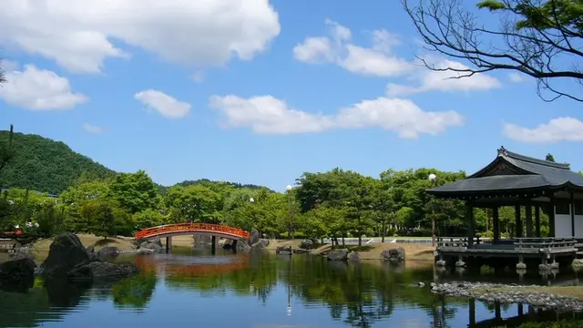 レンタサイクルで行く、越前市の王道絶景スポット巡り！！